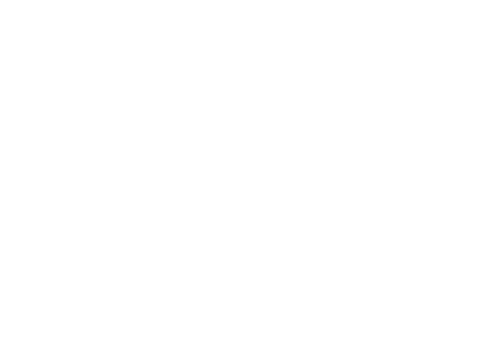 Rakang Software Logo